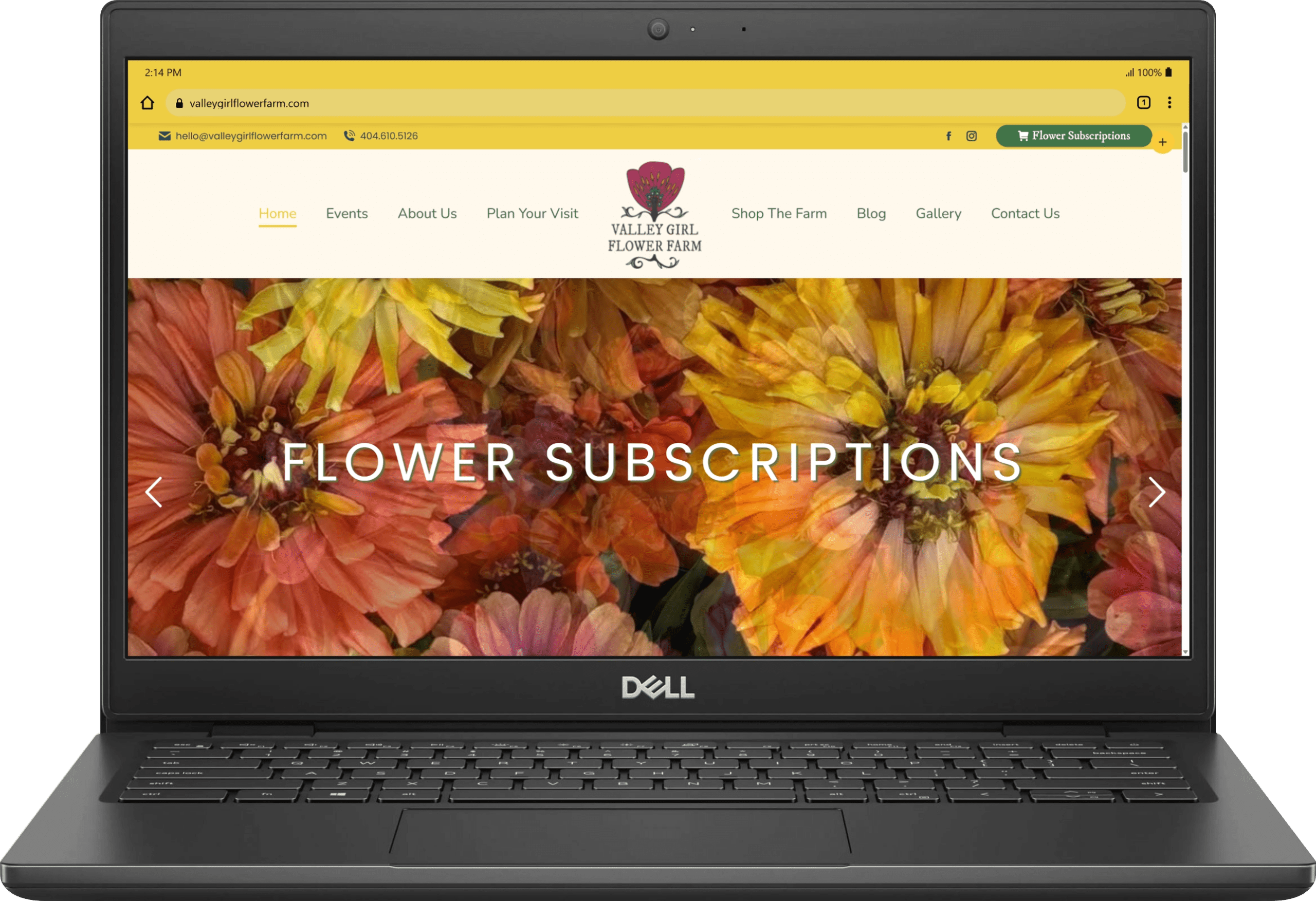 Valley Girl Flower Farm – Website Creation & SEO Optimization